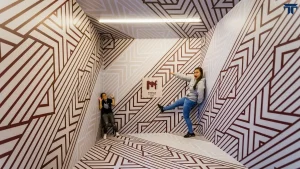 Museum of Illusions