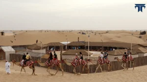 Premium Red Dunes Safari with Camel Ride
