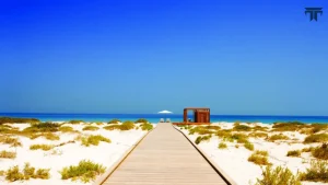 Saadiyat Beach Club Pool