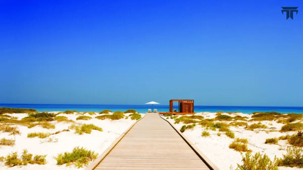 Saadiyat Beach Club Pool