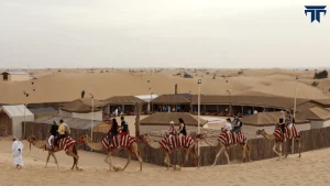 Premium Red Dunes Safari