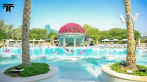 Sun Splash Brunch Sundays