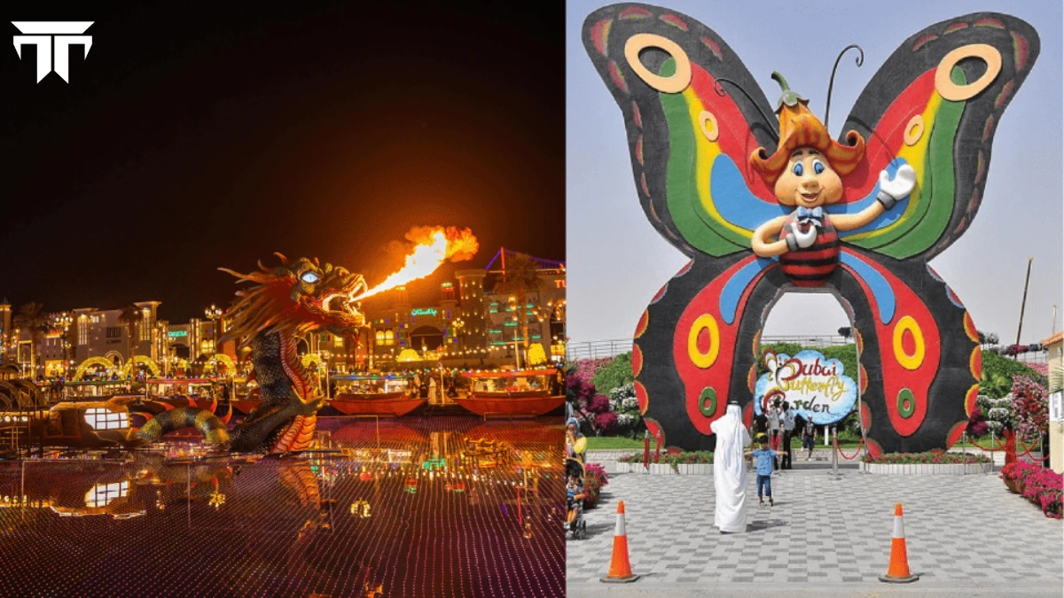 Combo Global Village Butterfly Garden