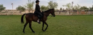 Sunset Horse Riding at Al Marmoom Oasis With 6Coursw Bedouim Dinner