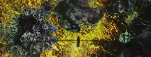 Teamlab Phenomena Abu Dhabi