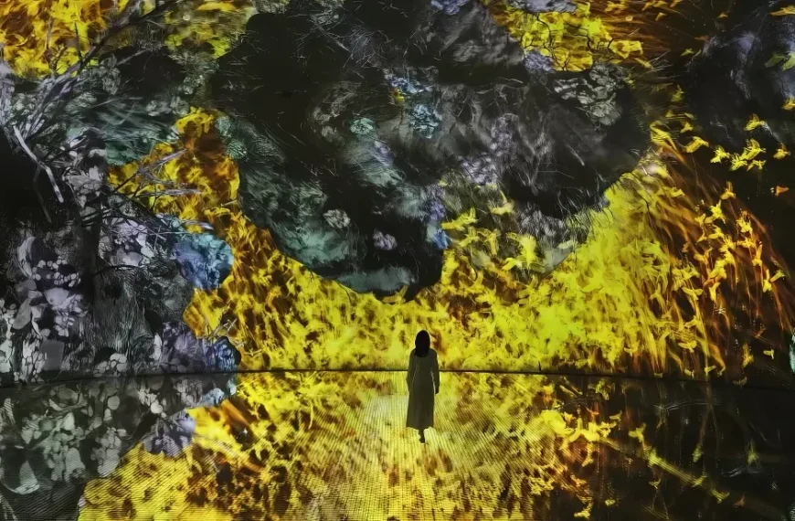 Teamlab Phenomena Abu Dhabi